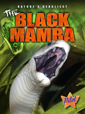 cover image of The Black Mamba